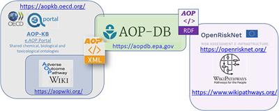 The AOP-DB RDF: Applying FAIR Principles to the Semantic Integration of AOP Data Using the Research Description Framework